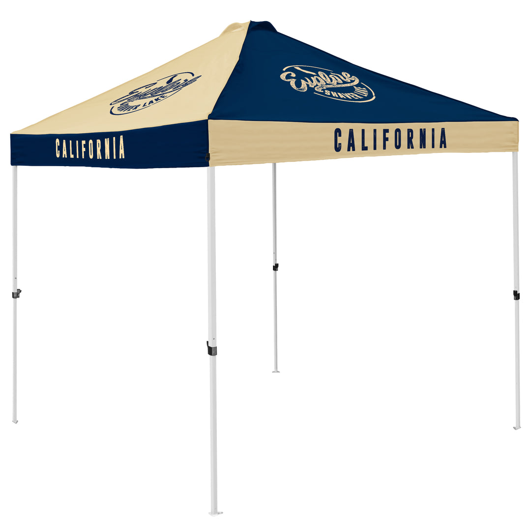 Checkerboard Canopy